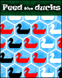 Feed the ducks (Migas para los patos)